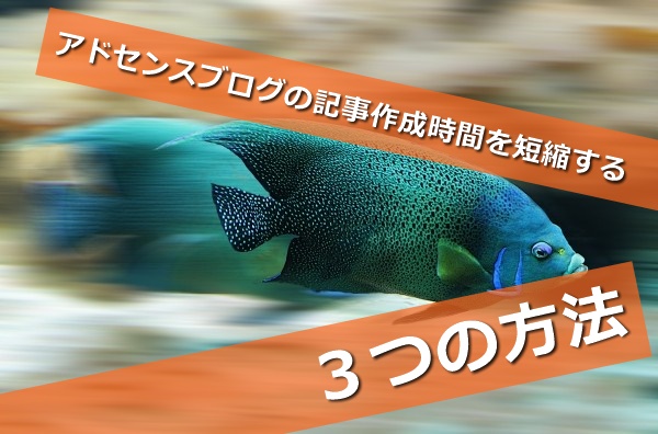 fish-aquarium-speed-scale-water-nature-animal